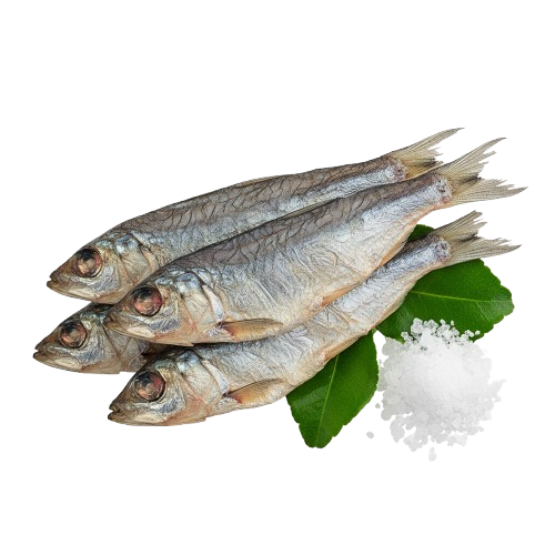 Atlantic Salmon Fillet